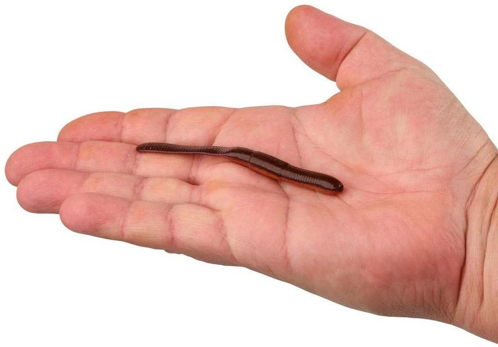 Berkley Berkly Gulp! Alive! SR Crawler 2 Berkley Berkly Gulp! Alive! SR Crawler - Image 2