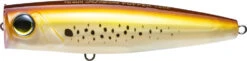 Yo-Zuri 3D Inshore Popper 3 1/2 Inch Topwater Popper -Fish Edge Store Pearl 20Bunkr