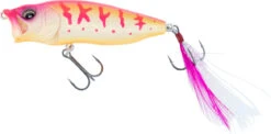 Megabass PopMax Topwater Popper -Fish Edge Store Popmax 316678b8 d986 4fa7 9450 3132df94ffca