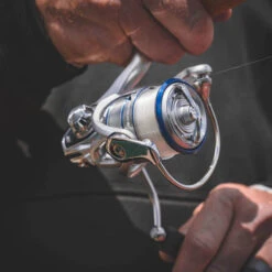 Daiwa Procyon MQ LT Spinning Reel -Fish Edge Store Procyon3Spot 1000x a9dd0fff 5484 484f ada8 569f03ffa72b