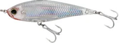 Yo-Zuri 3D Inshore Slow Sinking 4 3/8 Inch Twitchbait 29 Yo-Zuri 3D Inshore Slow Sinking 4 3/8 Inch Twitchbait -Fish Edge Store R1348 HGSH