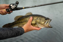 Temple Fork Outfitters Tactical Bass Glass Casting Rods -Fish Edge Store Tactical Bass Bottom Banner Lifestlye 1 f6a75b7c 7ed5 4159 863b 849c406dbdfc