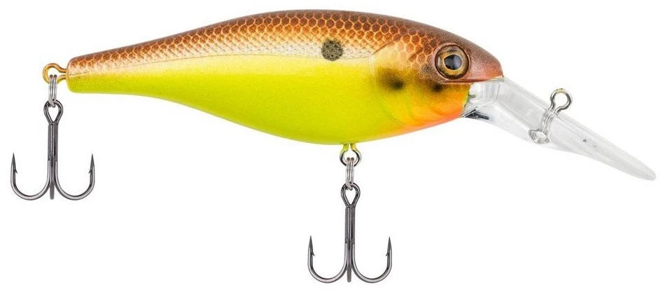 Berkley Bad Shad Medium Diving Crankbait 6 Berkley Bad Shad Medium Diving Crankbait - Image 6