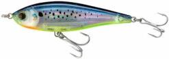Yo-Zuri 3D Inshore Slow Sinking 4 3/8 Inch Twitchbait 32 Yo-Zuri 3D Inshore Slow Sinking 4 3/8 Inch Twitchbait -Fish Edge Store yozuri 3dinshore twitchbait mardi gras 25d9f955 b3cb 413d b0dd 82f9e94bc965