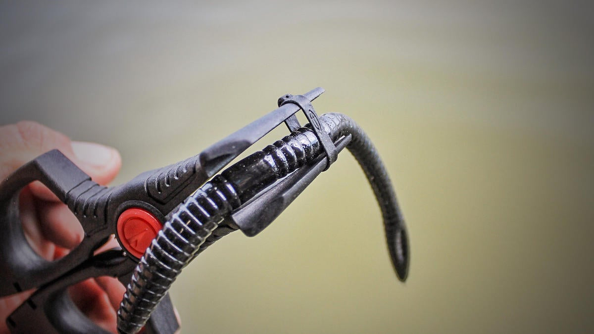 Fish Edge Store -Fish Edge Store 10a2d1f0 ce37 4964 9136 f401c8905208