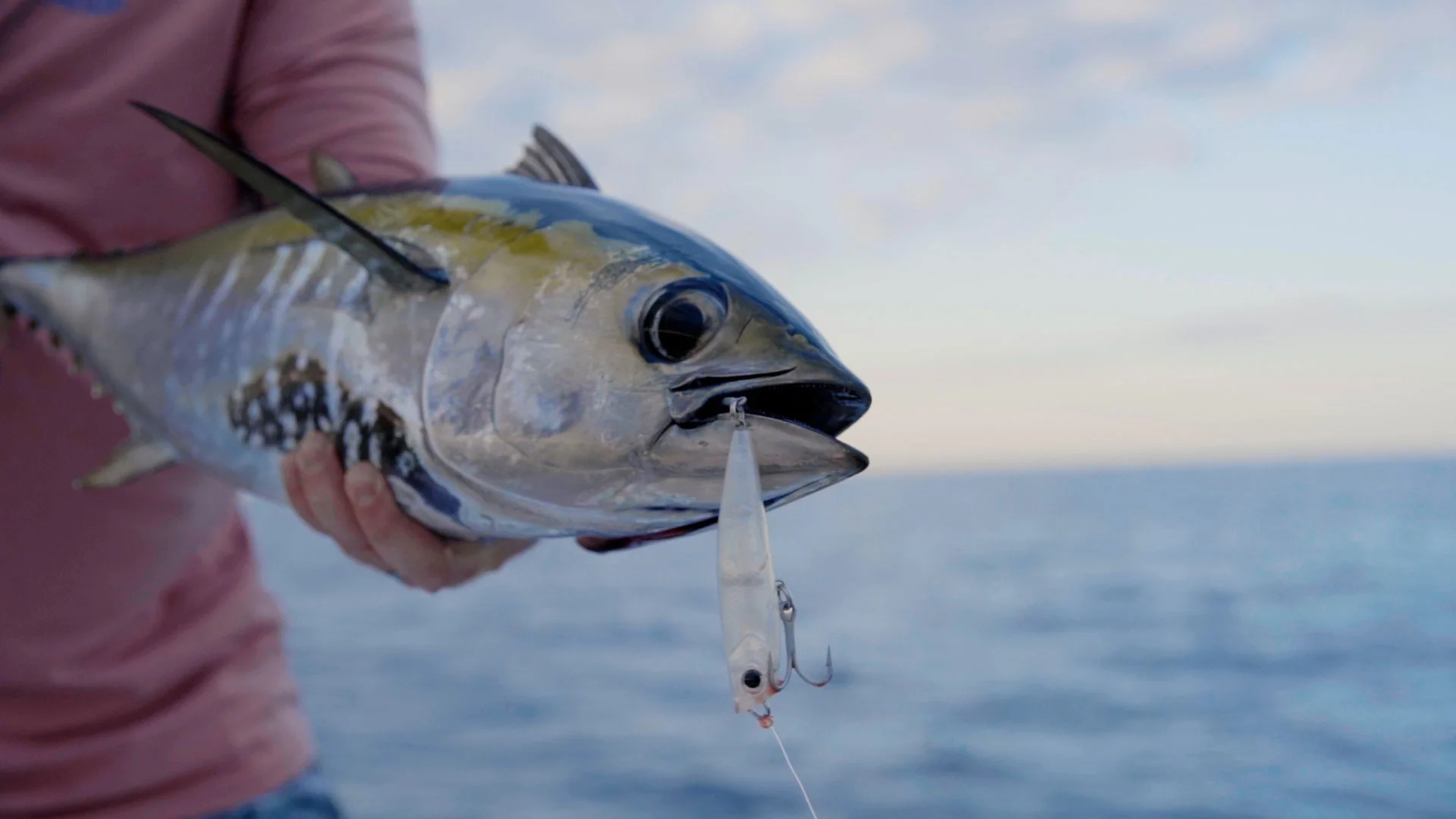 Fish Edge Store -Fish Edge Store Topwater Poppers For Blackfin Tuna